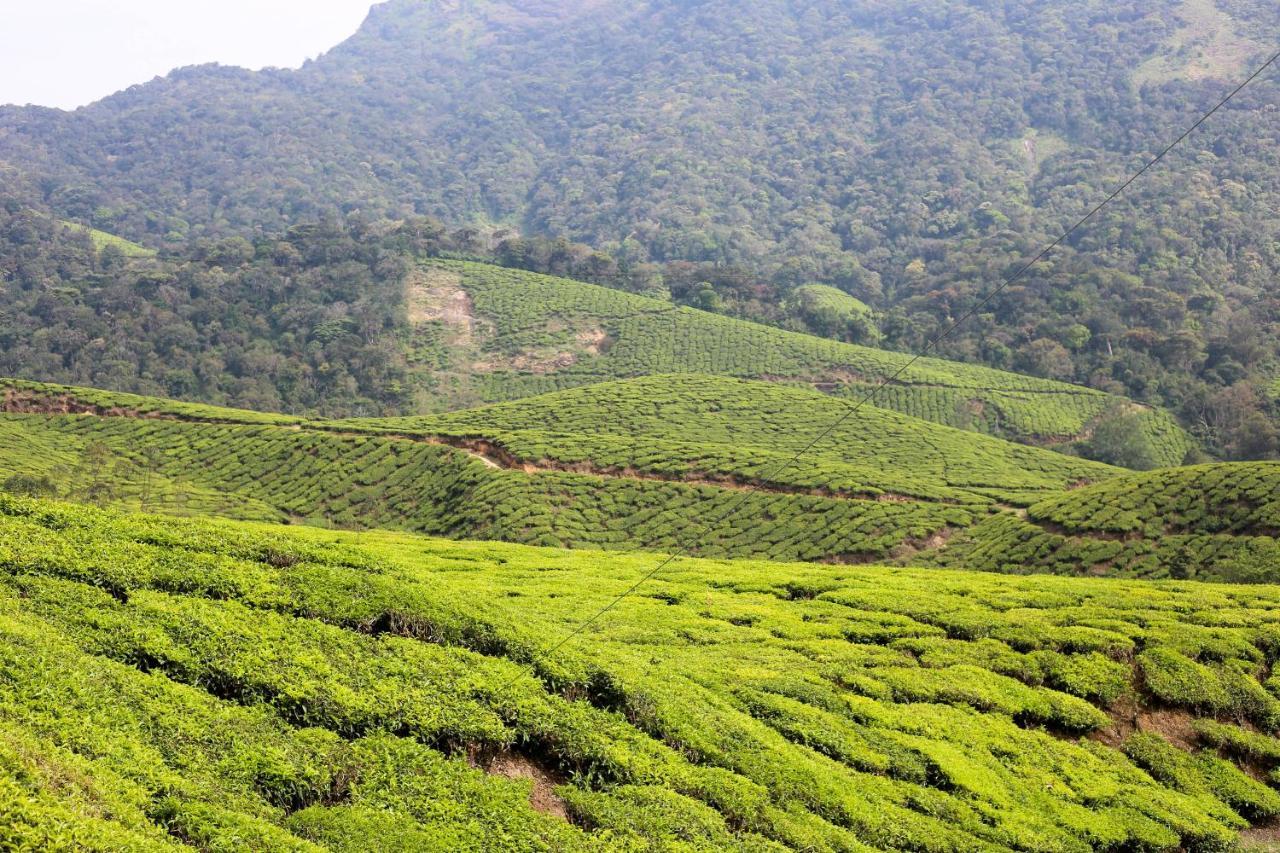 Green Garden Ayurvedic Resort & Green House Варкала Екстер'єр фото